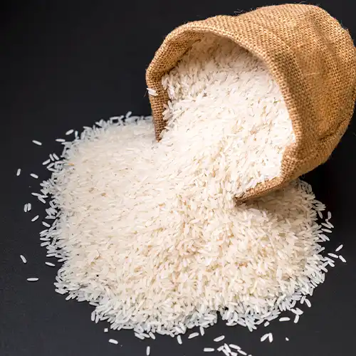 Rice