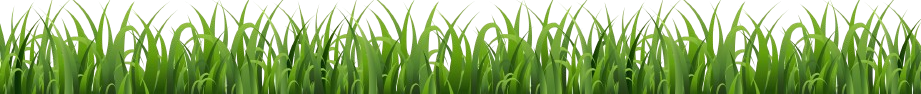 Grass Background