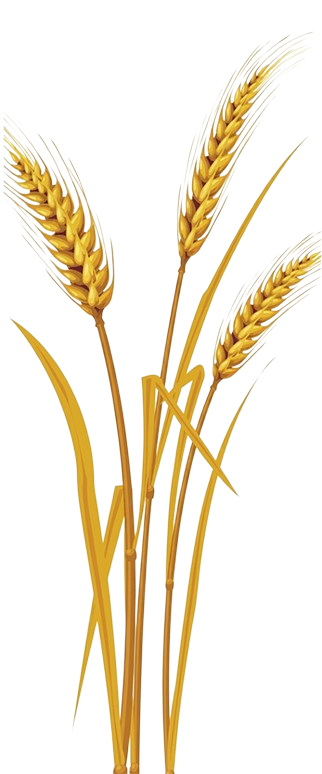 Agriculture Asset